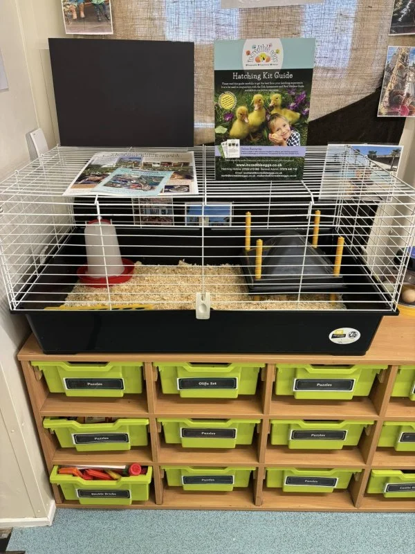 Incredible Egg Hatching